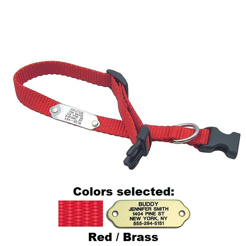 Rivet ID Collar for Dogs, - Lucky Pet